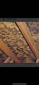 Storm Ban Roofing & Restoration Email Pull (2)